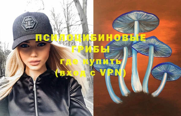 стаф Абдулино
