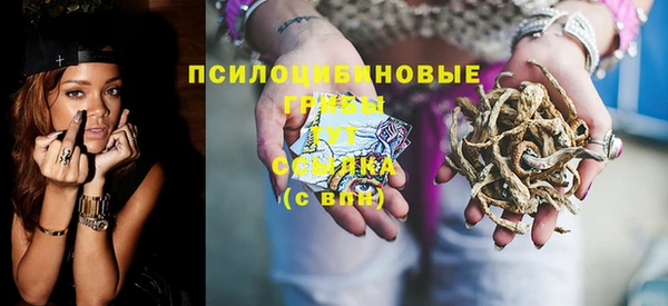 дживик Абинск