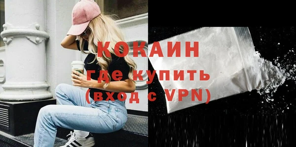 шишки Гусев