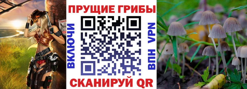 Галлюциногенные грибы мухоморы купить закладку Ильский